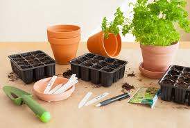 We did not find results for: Growing Herbs From Seed Indoors And Outside A Guide To Success