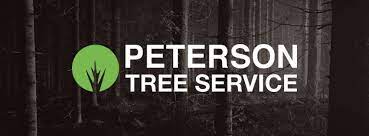 Search for other tree service in stanhope on the real yellow pages®. Peterson Tree Service Home Facebook