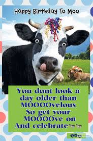 Dew Used A Pinterest Post And Pic Collage To Create This Birthday Greeting Happy Birthday Meme Birthday Meme Happy Birthday Cow