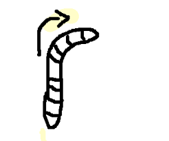 images?q=tbn:ANd9GcTK4vl_kRQq6hdatF5rCkG