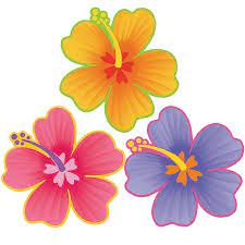 Recortes De Hibisco 12ct Decoraciones Luau Ciudad De La Fiesta Decoraciones Luau Imagenes De Moana Bebe Decoracion Fiesta Moana
