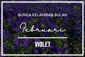 Maka dari itu, sapaan ini sering dihubungkan dengan bunga violet. Bunga Kelahiran Bulan Februari Violet