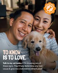 Animal Hospital of Worthington