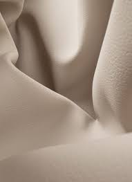 Image result for Beige Ceylog 1985 UMM