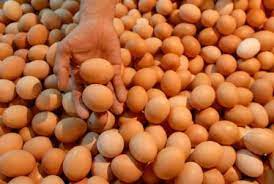 Sajian soto ayam kampungnya memiliki cita rasa yang unik dan dikenal sejak lama oleh pengguna jalan yang sering lewat daerah. Harga Kebutuhan Pokok Harga Telur Bebek Dan Telur Ayam Kampung Kembali Stabil Solopos Com