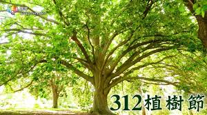 植樹節 (3月12日) 在 中國大陸 和 台灣 ， 植樹節 設立於每年的 公曆 3月12日 孙中山逝世纪念日 當日，或稱 國父逝世紀念日 。. æ¤æ¨¹ç¯€ Youtube