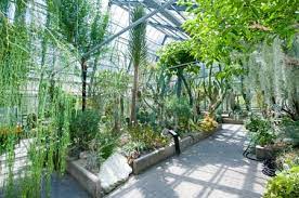 Check spelling or type a new query. Botanischer Garten Bochum