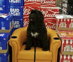 Original Canal S Of Hamilton Budweiser Bluetooth Speaker Chair Giveaway