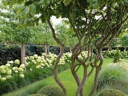 project mt lokeren projecten tuinarchitectuur tuin ideeen tuin