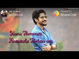Thanu Vethikina Thagu Jatha Nuvenani Video Song For Whatsapp Status Youtube Cherry pravasthi 06 december 2018. thanu vethikina thagu jatha nuvenani