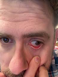 Apple Vision Pro Compatibility with VR Experiences