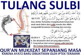 Selain fakta diatar , ada beberapa fakta lain yang harus anda ketahui , yaitu : Fakta Ilmiah Tentang Tulang Sulbi Menurut Al Quran Keterpaduan Islam Dan Sains