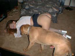 Sexy busty girls are having dog sex in compilation video