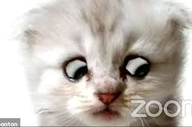 Doar că ultima sa țintă vine cu un bagaj neașteptat. This Is How You Can Use The Zoom Kitty Filter For Your Video Conferences