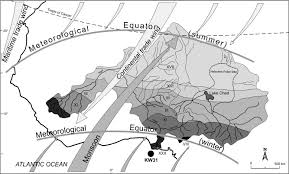 Image result for Scytopetalum pierreanum