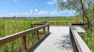 Get directions, reviews and information for lake seminole cabins in donalsonville, ga. Lake Seminole Park St Petersburg Florida Hikes