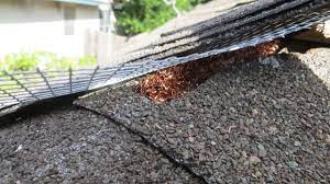 Other = other services (see next. Ranger Termite Pest Control 7212 Mcneil Dr Austin Tx Pest Control Mapquest