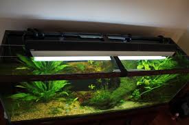 Glass Canopy For Aquarium Canopy Outdoor Canopy Backyard Canopy