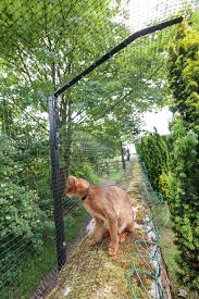 Protectapet Ltd S Photos Cat Garden Enclosure Cat Enclosure Outdoor Cat Enclosure Diy Cat Enclosure