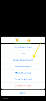 Advanced Audio Settings On Zoom Lessonface
