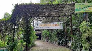 Tamaninspirasi.com menyediakan bibit tanaman buah dan tanaman hias dari berbagai varietas dan ukuran. Kampung Herbal Di Surabaya Punya Tanaman Empon Empon Komplit Intip Yuk