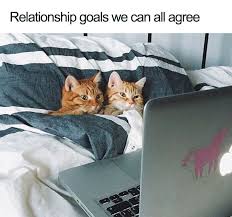 Is it good to send memes to your boyfriend? 50 Wholesome Relationship Memes You Need To Send To Your Significant Other Bored Panda
