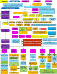 Crim Pro Flowcharts Search Warrant Miranda Warning Free 30 Day Trial Scribd In 2020 Flow Chart Studying Law Agency Law