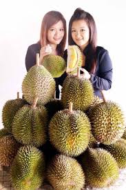 Sangat sesuai untuk datang bersantai mencari ketenangan. Meh Yew Nursery Tawar Pelbagai Jenis Anak Pokok Buah Buahan Berkualiti Utusan Borneo Online