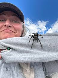 And just like that, a random tarantula shows up.