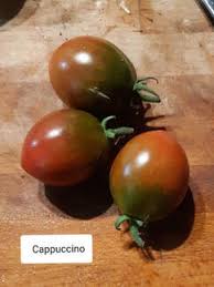 We did not find results for: Miss Penn S Mountain Seeds