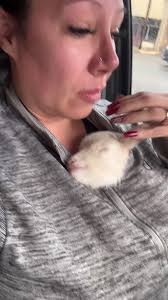 Newborn Lamb Rescue: Meet Noel from 5150 Farm