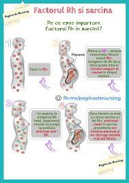 In acest caz, intre tine si bebelus exista o. Factorul Rh È™i Sarcina Pagina De Nursing