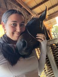 Anyone know where I can get a decent amount of horse shoes free or at least  cheap? Doesn't matter the look just need at least 50 and I'm not in a rush.