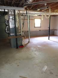 Mold in the basement is cause by either liquid water or humidity. I Think I Have Mold In My Basement Water Damage Restoration Mold Remediation And Mold Cleanup