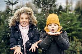 Zoe samuel 6 min quiz sewing is one of those skills that is deemed to be very. Winter Trivia For Kids Lovetoknow