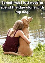 How To Be A Responsible Dog Owner Dogs Dog Care Dog Love