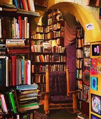 Armadillo S Pillow Chicago Bookstore Bookshop America
