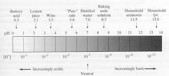 In this experiment, we will try to find the temperature that organisms thrive best in on an organism dependent on oxygen and three types of water. Https Web Iitd Ac In Arunku Files Cvl212 Y17 Labcvl212jan 18 Pdf