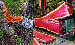 Pin On Wood