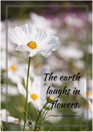The Earth Laughs In Flowers Ralph Waldo Emerson Quoteoftheday Quotes Ralph Waldo Emerson Quote Of The Day Emerson