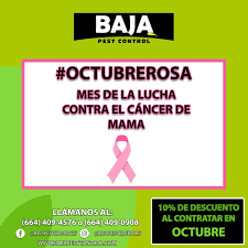 Pest control baja sa de cv. Baja Pest Control Home Facebook