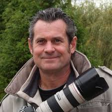 Wasps Fight Mid Air Editorial Stock Photo