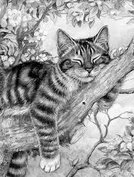 This step by step lesson progressively builds upon each previous step until you to start drawing the cat you'll want to print this page or following the next 6 steps in sequence. Cat In Tree Pencil Drawings Of Animals Animal Drawings Cute Animal Drawings