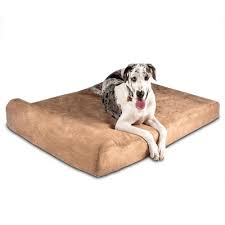 The dog bed should be slightly larger than your pet to accommodate the many a big dog needs adequate space to truly spread out and rest. Big Barker 7 Orthopedic Dog Bed Headrest Edition Target