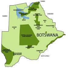 We have reviews of the best places to see in moremi game reserve. Pat Mobile Safari Botswana Home