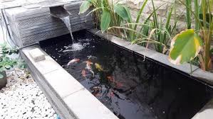 Cara membuat kolam ikan koi desain minimalis di depan rumah. Terungkap Ini Trik Cara Membuat Kolam Ikan Yang Nggak Sulit