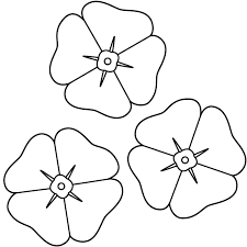 Klaprozen Kleurplaten Planten En Bloemen Juni 2021