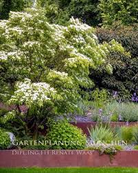 Pflegeleichter Moderner Garten Die Schonsten Geholze Moderner Garten Garten Design Gartenarchitekt