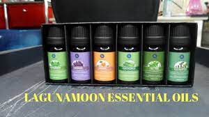 Lagunamoon premium essential oils set, 20 pcs pure natural aromatherapy oils lavender frankincense peppermint rose rosemary sandalwood 4.7 out of 5 stars 15,159 $32.99 $ 32. Lagunamoon Premium Essential Oils Review Youtube