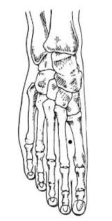 Point Tai Chōng 3 Energie Du Foie Miraculeux Acupression Reflexologie